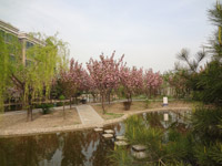 ̫�O������^(q��)