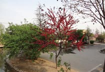 ̫�O����^(q��)�Ĵ���