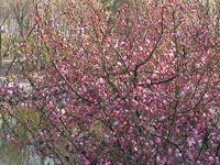 ̫�O��@��ɫ��̫�O�²����O(sh��)�乫˾