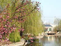 ̫�O��@��ɫ��̫�O�²����O(sh��)�乫˾