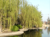 ̫�O��@��ɫ��̫�O�²����O(sh��)�乫˾